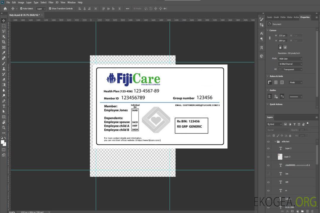 Carte d'assurance maladie des Fidji template